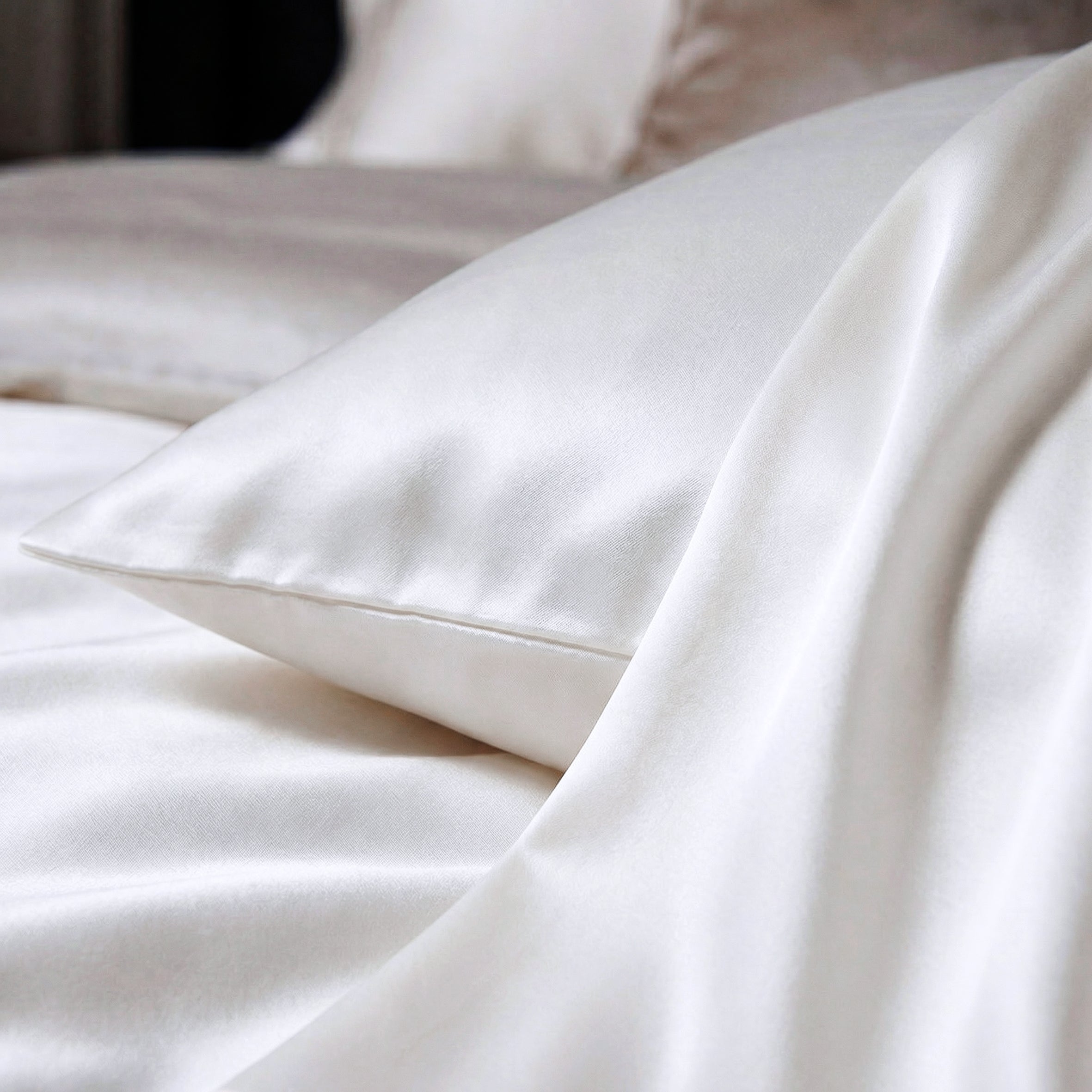 Deluxe 25 Momme Pure Mulberry Silk Pillowcase - limited edition