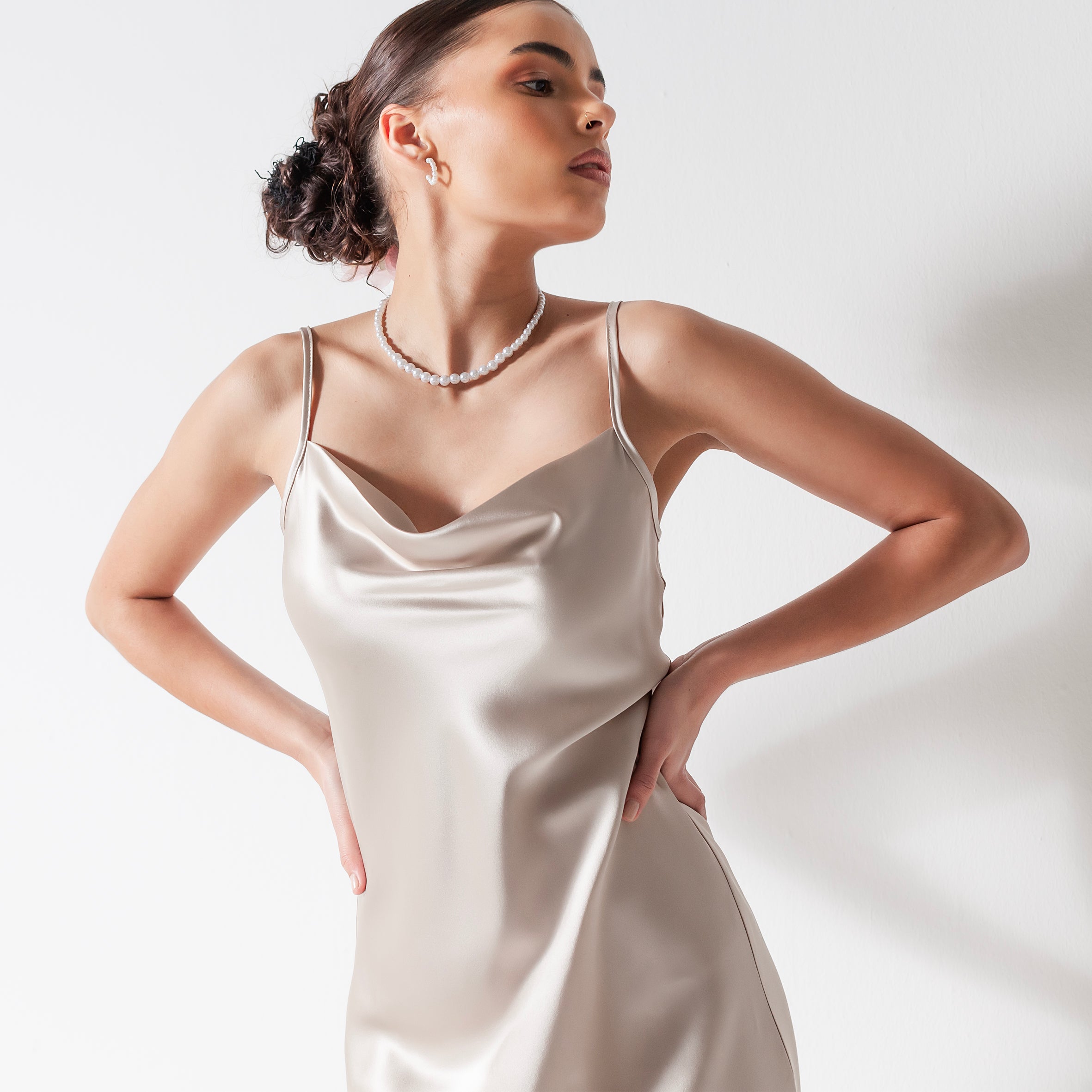 Ladies Silk Long Dresses - Champagne